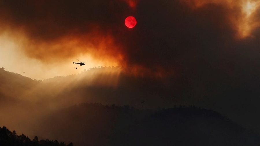 Petugas pemadam kebakaran hutan dari brigade malam Cebreros Pemerintah Castilla y Leon mengambil posisi untuk memerangi kebakaran hutan, di pinggiran El Arenal, Spanyol, 29 Juli 2025. (REUTERS/Juan Medina)