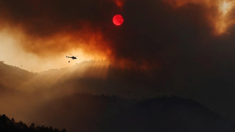 Petugas pemadam kebakaran hutan dari brigade malam Cebreros Pemerintah Castilla y Leon mengambil posisi untuk memerangi kebakaran hutan, di pinggiran El Arenal, Spanyol, 29 Juli 2025. (REUTERS/Juan Medina)