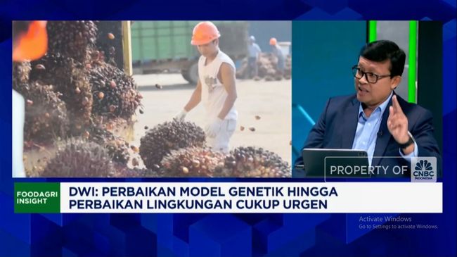 Video: Ada 200 Produk Hilirisasi Sawit, Yakin RI Sanggup Kembangkan?