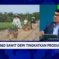 Video: Dana Riset Minyak Nabati Pesaing Sawit Rp 2,5 T, RI Gimana?