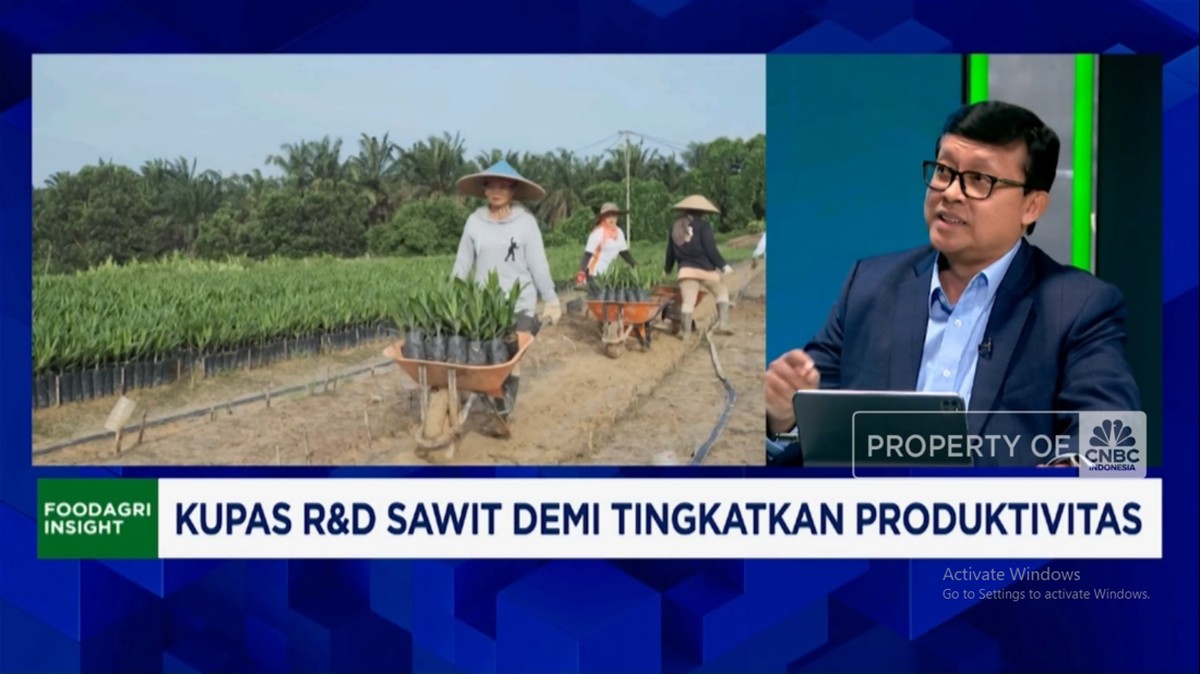 Video: Dana Riset Minyak Nabati Pesaing Sawit Rp 2,5 T, RI Gimana?