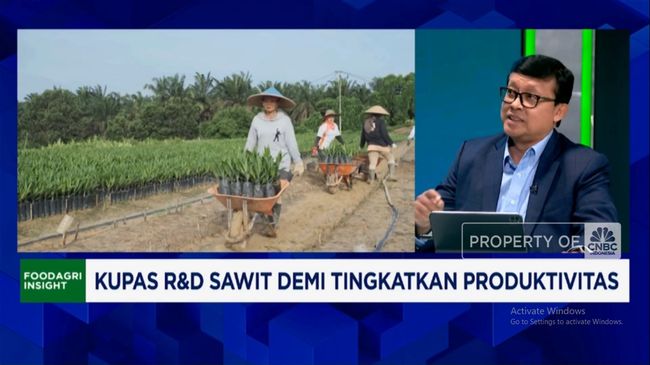 Video: Dana Riset Minyak Nabati Pesaing Sawit Rp 2,5 T, RI Gimana?
