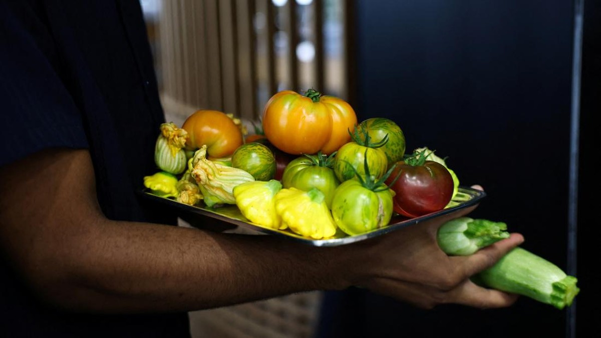 5 Buah Ini Disebut Ahli Gizi Jepang Bisa Bikin Sehat dan Panjang Umur