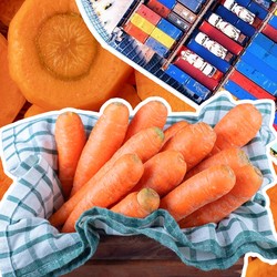 Katanya Punya Lahan Subur, Impor Wortel RI Malah Meledak 1.000.000%!