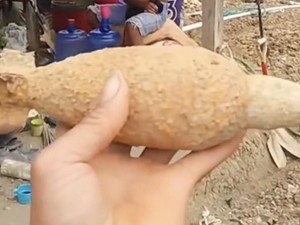 Penampakan Mortir yang Ditemukan Petani Enrekang di Ladang Bawang