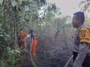 Karhutla Meningkat 2 Pekan Terakhir, Lubuklinggau Tetapkan Status Siaga