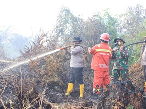 Karhutla di Inhil Masuki Tahap Pendinginan, TNI-Polri-BPBD Tetap Waspada