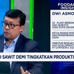 Video: Produksi Sawit Stagnan, Riset Bibit-Pembasmi Hama Kian Mendesak