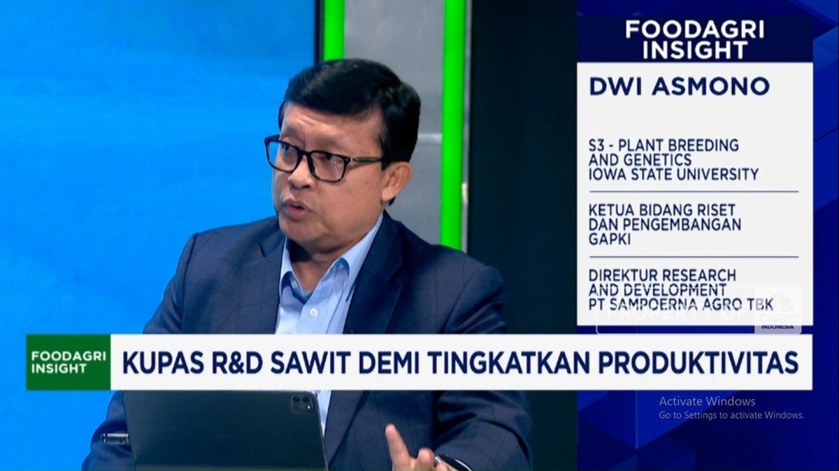 Video: Produksi Sawit Stagnan, Riset Bibit-Pembasmi Hama Kian Mendesak