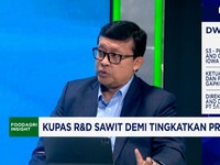 Video: Produksi Sawit Stagnan, Riset Bibit-Pembasmi Hama Kian Mendesak