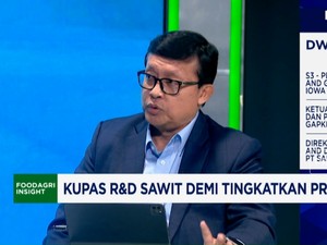 Video: Produksi Sawit Stagnan, Riset Bibit-Pembasmi Hama Kian Mendesak