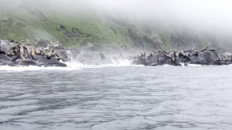 Sebuah taman kanak-kanak yang rusak akibat gempa bumi terlihat di Petropavlovsk-Kamchatsky, Kamchatka Krai, Rusia, 30 Juli 2025. (Administration of the Governor of Kamchatka Krai/Handout via REUTERS)