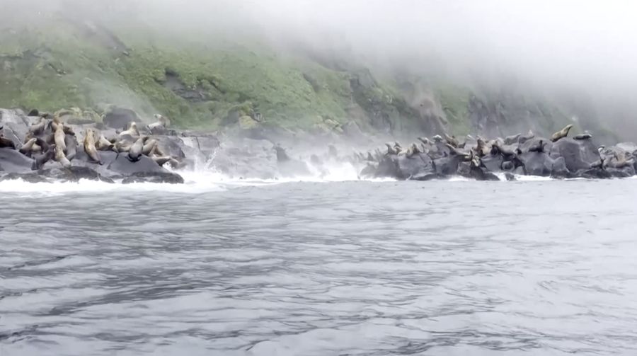 Sebuah taman kanak-kanak yang rusak akibat gempa bumi terlihat di Petropavlovsk-Kamchatsky, Kamchatka Krai, Rusia, 30 Juli 2025. Sebuah taman kanak-kanak yang rusak akibat gempa bumi terlihat di Petropavlovsk-Kamchatsky, Kamchatka Krai, Rusia, 30 Juli 2025. (Administration of the Governor of Kamchatka Krai/Handout via REUTERS)