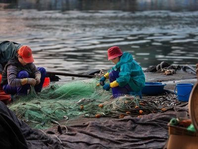 Siap-Siap! Nasib Peternak & Nelayan RI Bakal Sejahtera Kayak Petani
