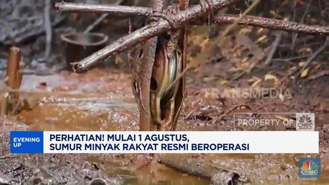 1 Tahun Prabowo-Gibran: Kebijakan Sumur Rakyat Picu Pekerjaan-Ekonomi