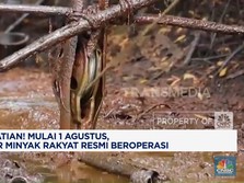 1 Tahun Prabowo-Gibran: Kebijakan Sumur Rakyat Picu Pekerjaan-Ekonomi