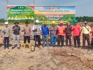 Dukung Ketahanan Pangan Nasional, Polres Dumai Kembali Tanam Jagung