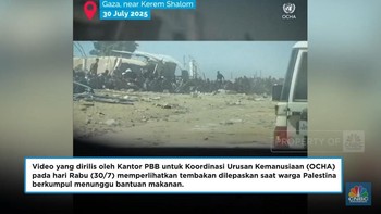 Video PBB ini Jadi Saksi Penembakan Warga Gaza Saat Antre Bantuan