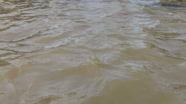 Hujan Lebat Berujung Banjir, Anak-anak Jadi Korban-Evakuasi Massal