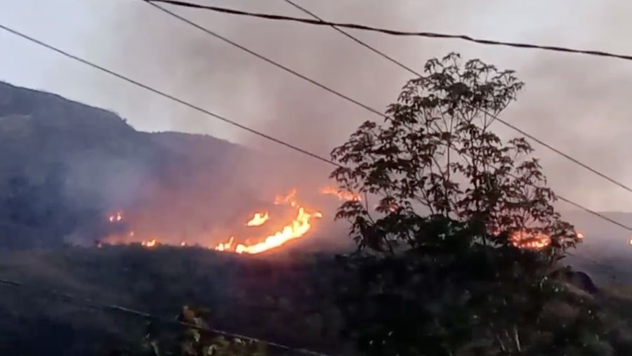 kebakaran hutan dan lahan di Kabupaten Pasaman, Provinsi Sumatera Barat pada Jumat (1/8/2025). (Tangkapan Layar BPBD Kabupaten Pasaman)