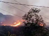 BMKG Peringatkan Wilayah RI Siap Siaga Hujan Lebat Vs Kebakaran Hutan