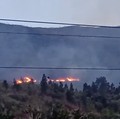 kebakaran hutan dan lahan di Kabupaten Pasaman, Provinsi Sumatera Barat pada Jumat (1/8/2025). (Tangkapan Layar BPBD Kabupaten Pasaman)