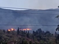 kebakaran hutan dan lahan di Kabupaten Pasaman, Provinsi Sumatera Barat pada Jumat (1/8/2025). (Tangkapan Layar BPBD Kabupaten Pasaman)