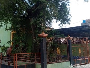 Cerita Pohon Asam Raksasa Berusia Ratusan Tahun di Masjid Tua Klaten