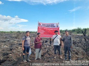 Lahan 1 Ha di Rohil Terbakar Akibat Puntung Rokok, 1 Orang Ditangkap