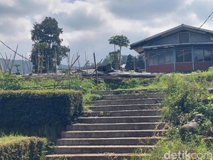 Utopia Keluarga Ursone Ubah Lembang Serupa Friesland