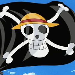 Heboh Mengibarkan Bendera One Piece Jelang 17 Agustus, Apa Artinya?