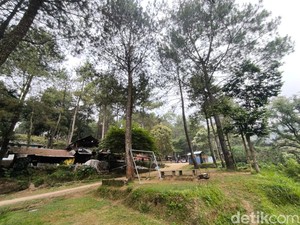Tak Perlu Mahal, Rp 50 Ribu Bisa Puas Menikmati Bumi Perkemahan Ipukan
