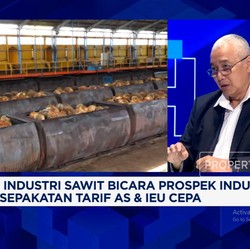 Video: Aturan Tumpang Tindih - Produksi Stagnan, Tantangan Sawit RI