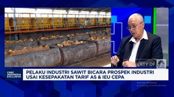 Video: Aturan Tumpang Tindih - Produksi Stagnan, Tantangan Sawit RI