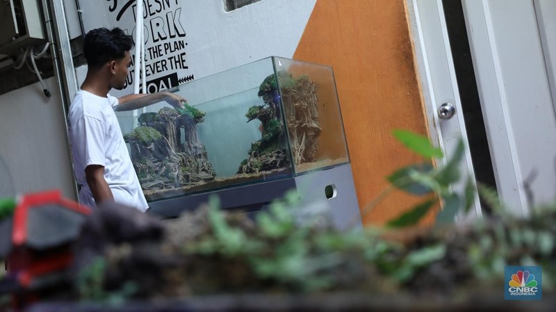 Bisnis aquascape di kawasan Jakarta sepi pesana. (CNBC Indonesia/Tri Susilo)