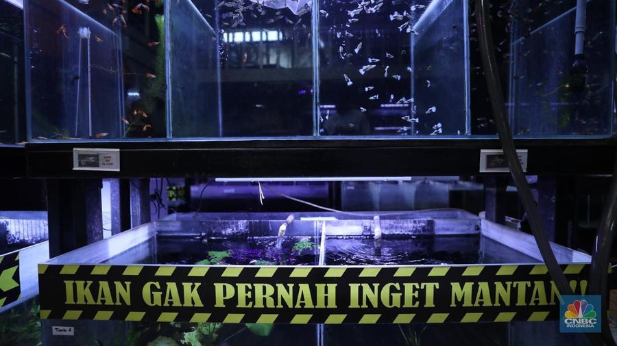 Bisnis aquascape di kawasan Jakarta sepi pesana. (CNBC Indonesia/Tri Susilo)