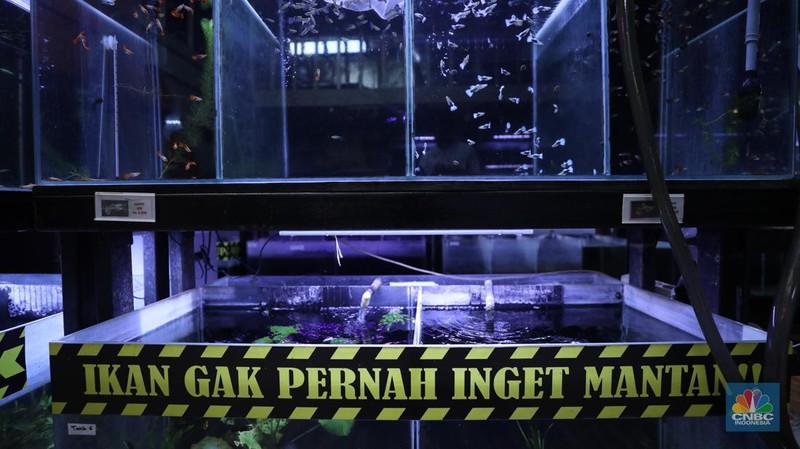 Bisnis aquascape di kawasan Jakarta sepi pesana. (CNBC Indonesia/Tri Susilo)