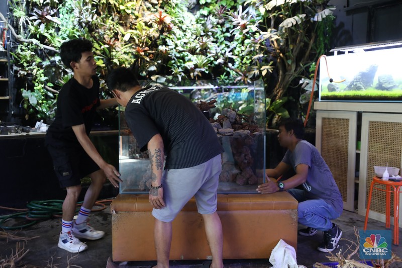 Bisnis aquascape di kawasan Jakarta sepi pesana. (CNBC Indonesia/Tri Susilo)