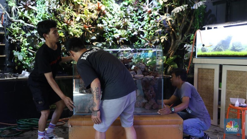 Bisnis aquascape di kawasan Jakarta sepi pesana. (CNBC Indonesia/Tri Susilo)