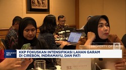 Video: KKP Fokus Intensifikasi Lahan Garam di 3 Wilayah Ini