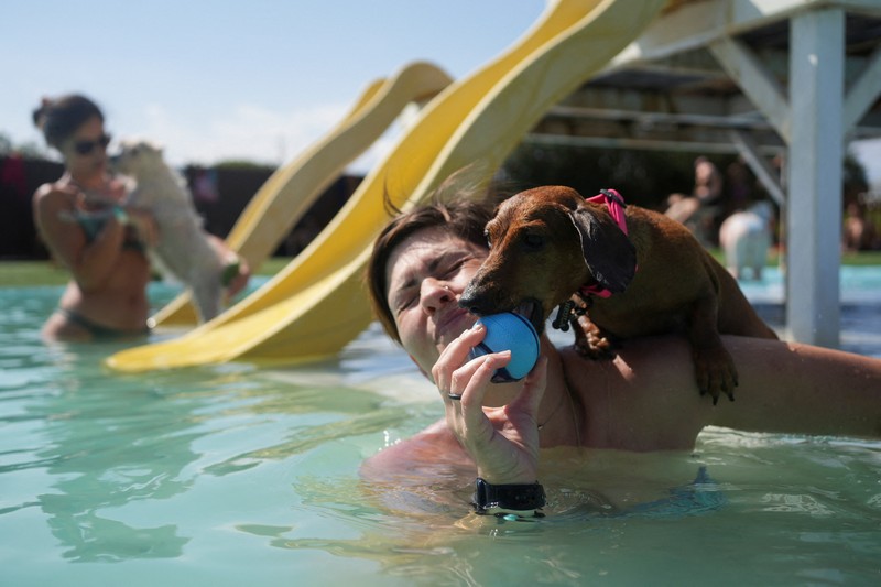 Seekor anjing menyejukkan diri dan bermain di taman air untuk anjing sementara orang-orang mencoba menghindari panas karena suhu diperkirakan akan meningkat di Barcelona, Spanyol, 3 Agustus 2025. (REUTERS/Bruna Casas)