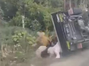 Viral Pikap Rombongan Emak-emak di Gowa Sulsel Ugal-ugalan Hingga Terbalik
