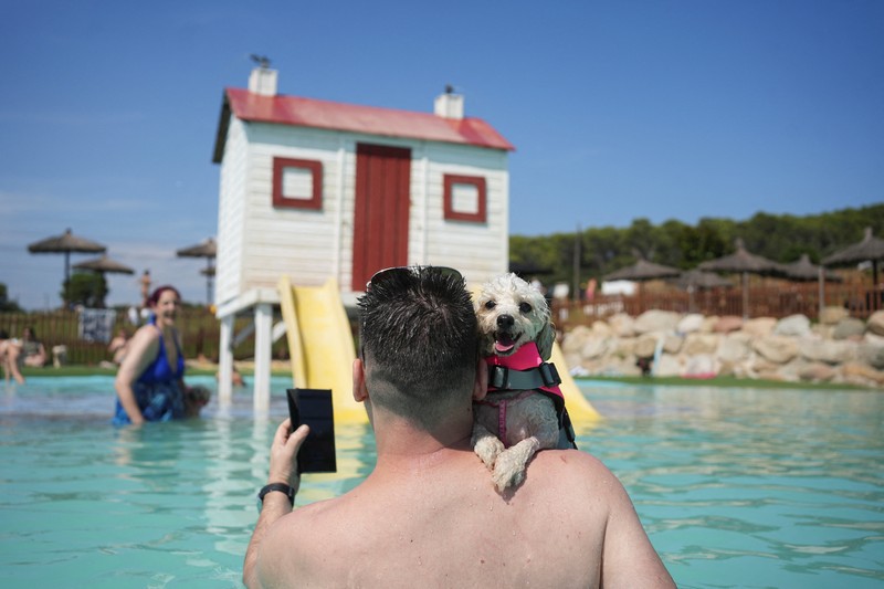 Seekor anjing menyejukkan diri dan bermain di taman air untuk anjing sementara orang-orang mencoba menghindari panas karena suhu diperkirakan akan meningkat di Barcelona, Spanyol, 3 Agustus 2025. (REUTERS/Bruna Casas)