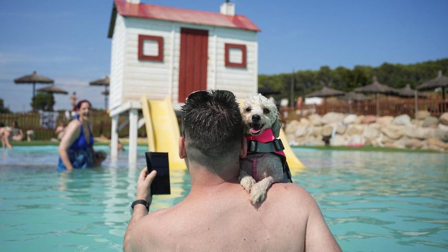 Seekor anjing menyejukkan diri dan bermain di taman air untuk anjing sementara orang-orang mencoba menghindari panas karena suhu diperkirakan akan meningkat di Barcelona, Spanyol, 3 Agustus 2025. (REUTERS/Bruna Casas)