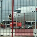 Geger Moncong Pesawat Airbus Pecah Ditabrak Burung saat Take Off