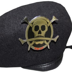 Bak One Piece, Tentara Pelajar RI Pernah Pakai Simbol Bajak Laut