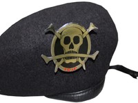 Bak One Piece, Tentara Pelajar RI Pernah Pakai Simbol Bajak Laut