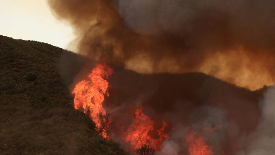Flames rise as firefighters battle the Gifford Fire in brush-covered hillsides west of New Cuyama, California, U.S. August 4, 2025. REUTERS/David Swanson