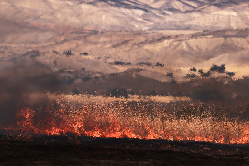 CALIFORNIA-WILDFIRES/ Flames rise as firefighters battle the Gifford Fire in brush-covered hillsides west of New Cuyama, California, U.S. August 4, 2025. REUTERS/David Swanson