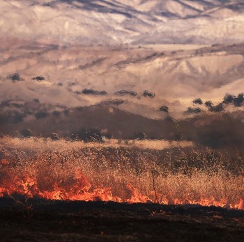 Saat Langit California AS Berubah Oranye, 49.000 Daratan Jadi Laut Api